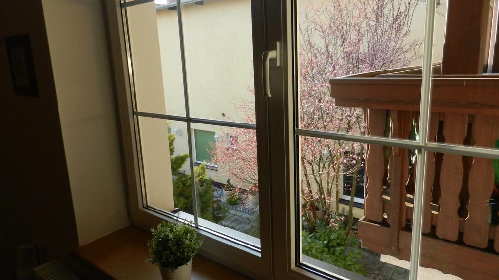 Apartment Pension Stark Františkovy Lázně Esterno foto