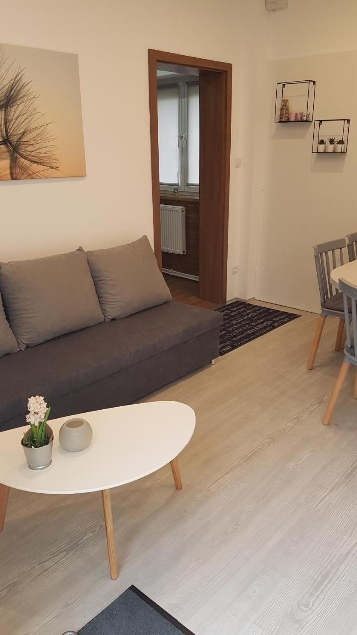 Apartment Pension Stark Františkovy Lázně Esterno foto
